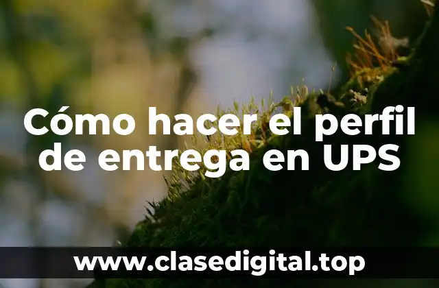 Cómo hacer el perfil de entrega en UPS