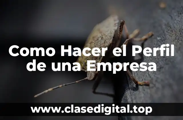 ¿Qué es el Perfil de una Empresa y para qué Sirve?
