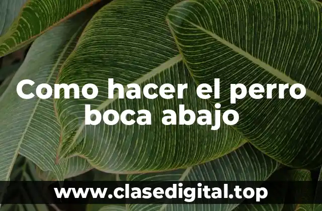 Como hacer el perro boca abajo