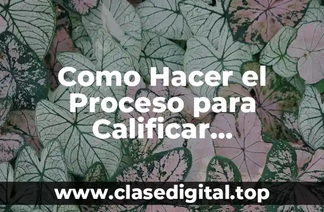 Como Hacer el Proceso para Calificar Discapacidad en Compín