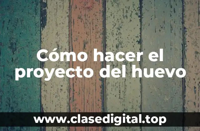 Cómo hacer el proyecto del huevo