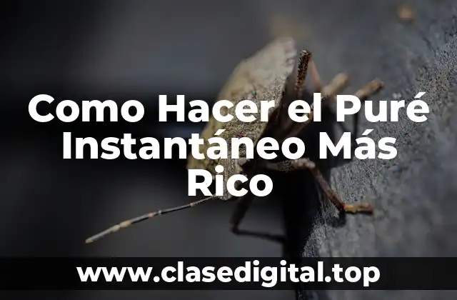 Como Hacer el Puré Instantáneo Más Rico