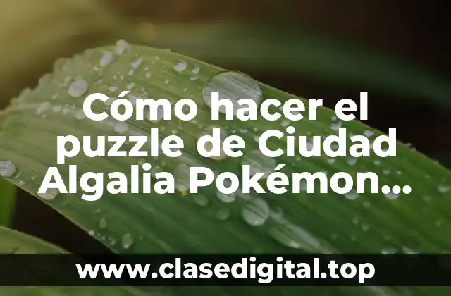 ¿Qué es el puzzle de Ciudad Algalia en Pokémon Rubí GBA?