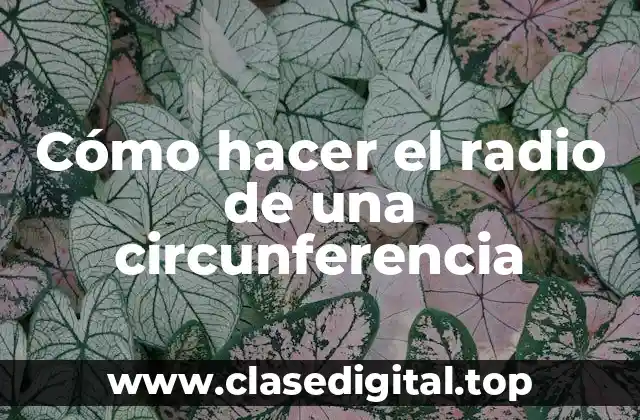 ¿Qué es el radio de una circunferencia?