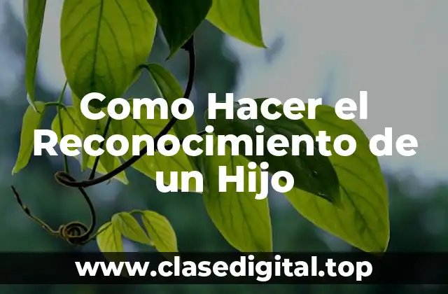Como Hacer el Reconocimiento de un Hijo
