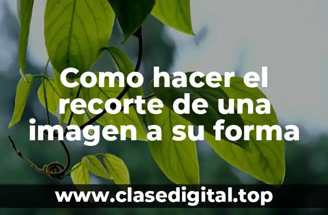 Como hacer el recorte de una imagen a su forma