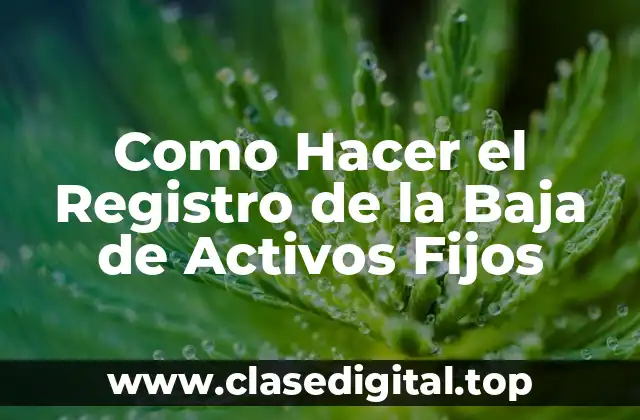 Como Hacer el Registro de la Baja de Activos Fijos