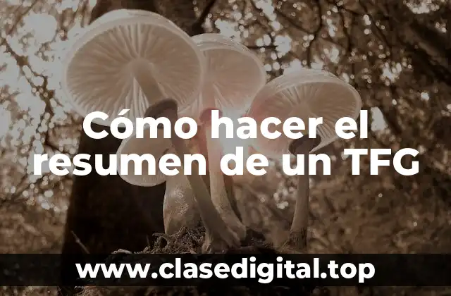 Cómo hacer el resumen de un TFG