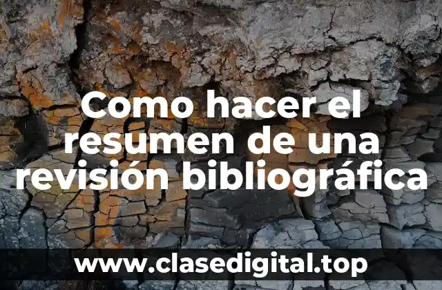 Como hacer el resumen de una revisión bibliográfica