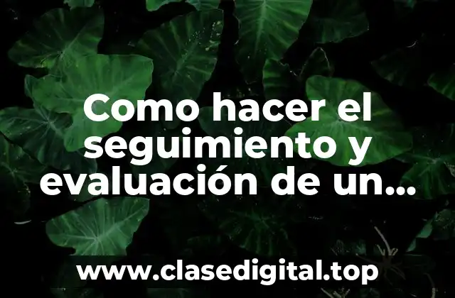 El seguimiento y evaluación de un proyecto