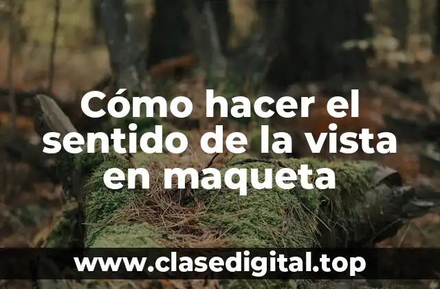 Cómo hacer el sentido de la vista en maqueta