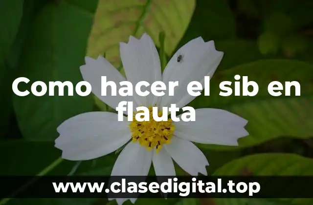 Como hacer el sib en flauta