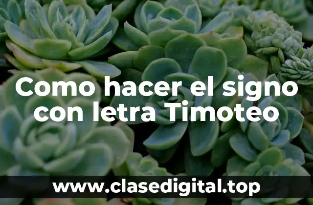 ¿Qué es el signo con letra Timoteo y para qué sirve?