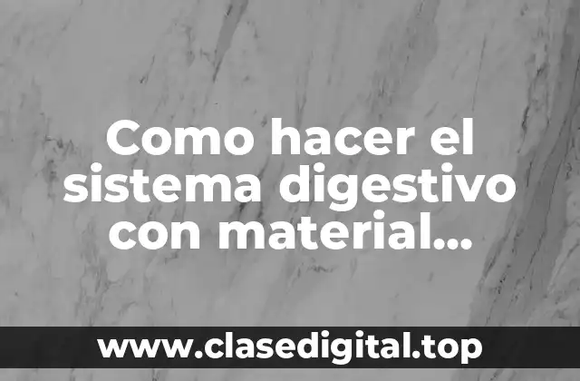El sistema digestivo con material reciclable