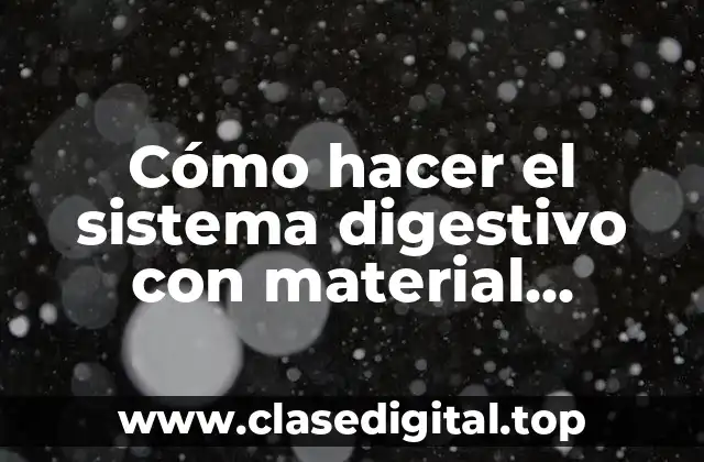 Cómo hacer el sistema digestivo con material reciclado en informe