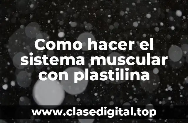 Como hacer el sistema muscular con plastilina