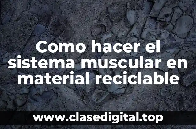 Como hacer el sistema muscular en material reciclable