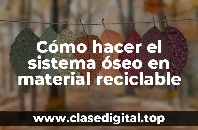 Cómo hacer el sistema óseo en material reciclable