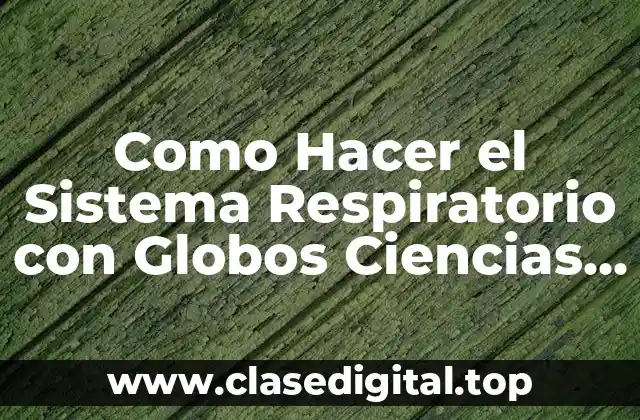 Como Hacer el Sistema Respiratorio con Globos Ciencias Quinto Básico