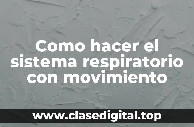 Como hacer el sistema respiratorio con movimiento
