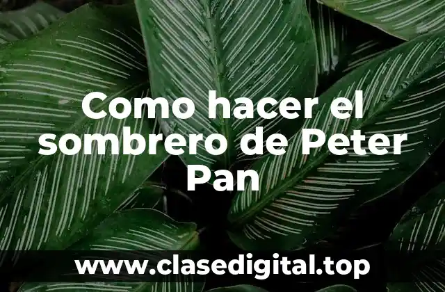 Como hacer el sombrero de Peter Pan