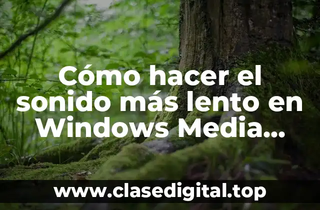 Cómo hacer el sonido más lento en Windows Media Player