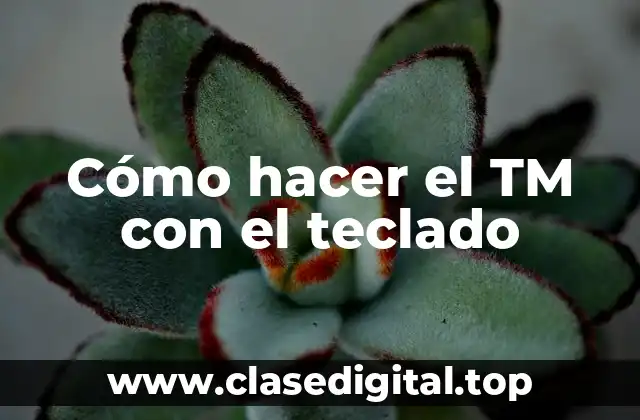 Cómo hacer el TM con el teclado