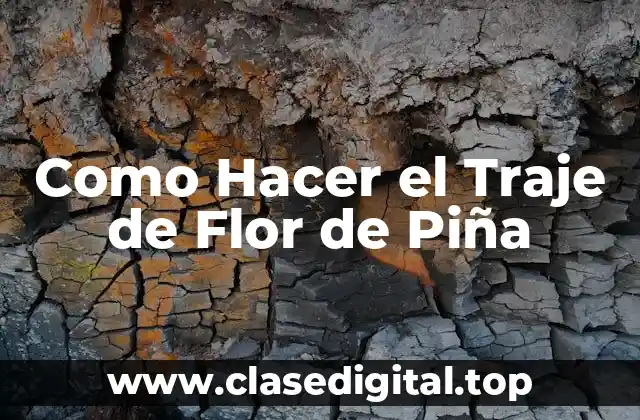 Como Hacer el Traje de Flor de Piña