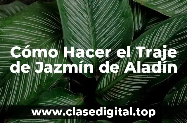 Cómo Hacer el Traje de Jazmín de Aladín