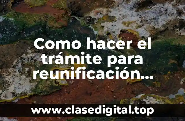 Como hacer el trámite para reunificación familiar en Chile