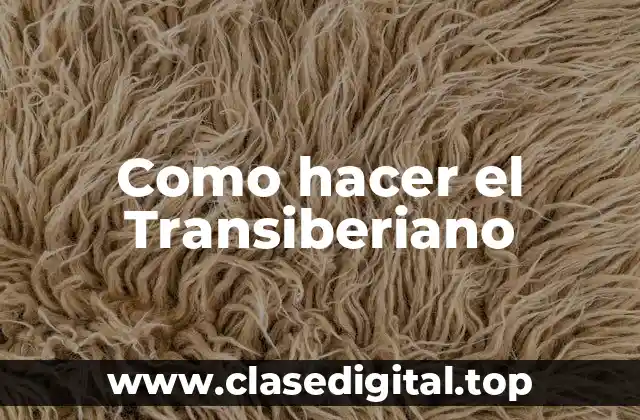 Como hacer el Transiberiano