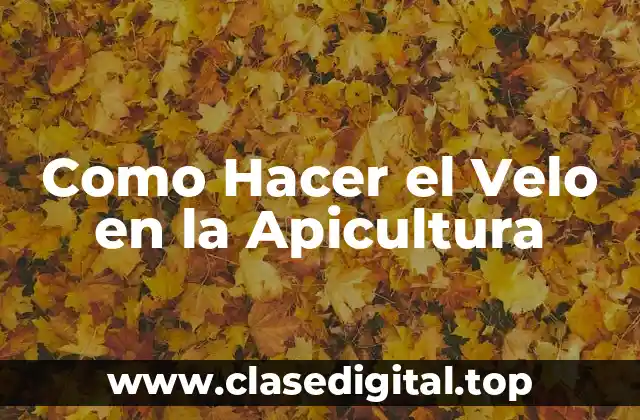 Como Hacer el Velo en la Apicultura