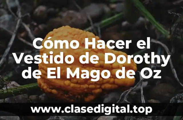 Cómo Hacer el Vestido de Dorothy de El Mago de Oz