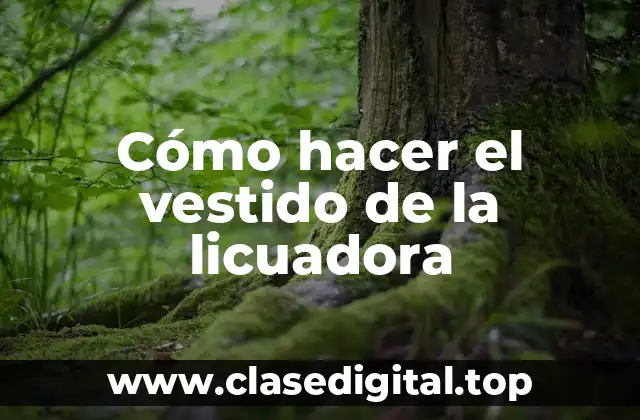 Cómo hacer el vestido de la licuadora