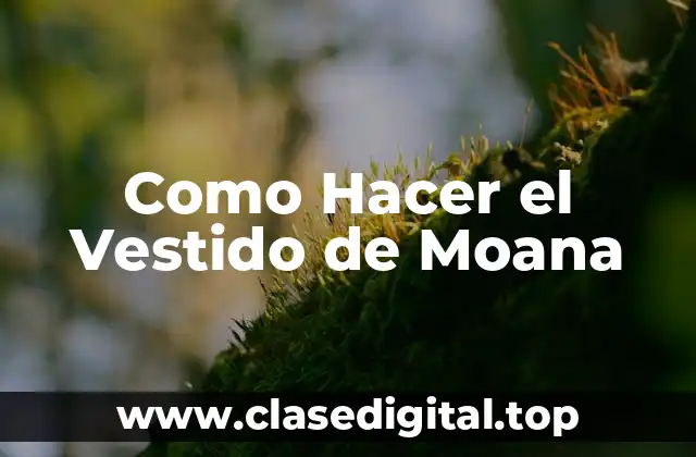 Como Hacer el Vestido de Moana