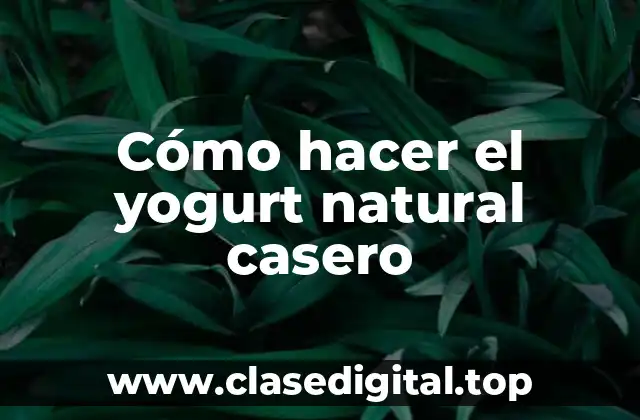 Cómo hacer el yogurt natural casero