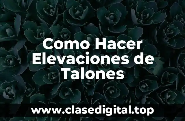 Como Hacer Elevaciones de Talones