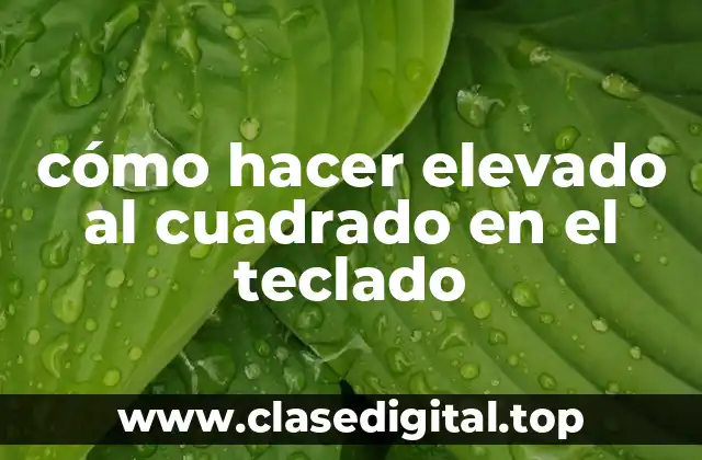 cómo hacer elevado al cuadrado en el teclado