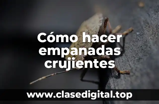 Cómo hacer empanadas crujientes