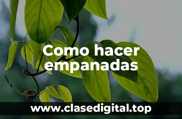 Como hacer empanadas