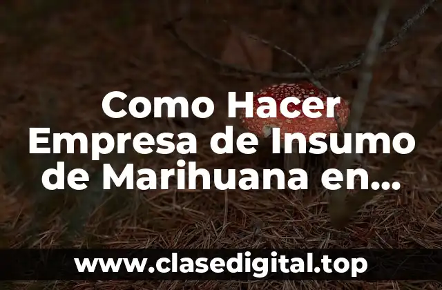 Como Hacer Empresa de Insumo de Marihuana en Uruguay
