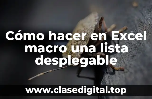 Cómo hacer en Excel macro una lista desplegable