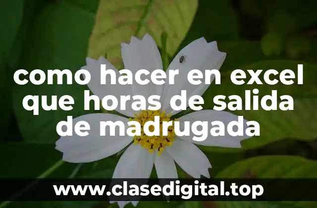 ¿Qué son las horas de salida de madrugada y cómo se calculan en Excel?