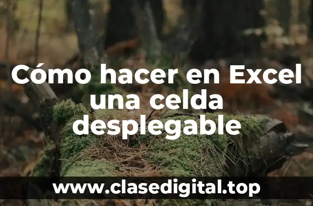 Cómo hacer en Excel una celda desplegable