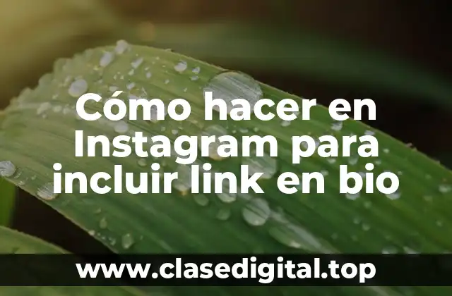 Incluir link en bio en Instagram