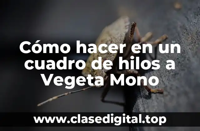 Cuadro de Hilos de Vegeta Mono