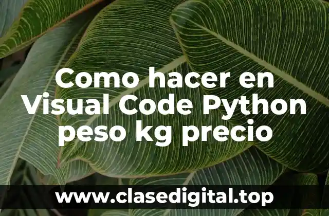 Como hacer en Visual Code Python peso kg precio