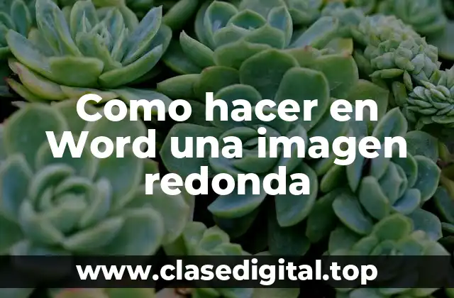 Como hacer en Word una imagen redonda