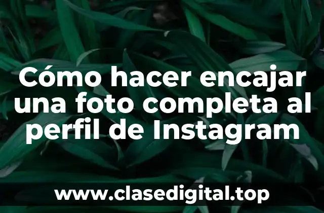 Cómo hacer encajar una foto completa al perfil de Instagram