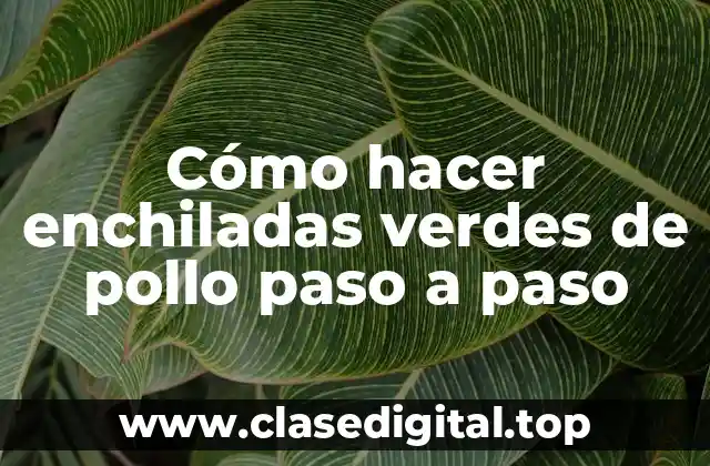 Cómo hacer enchiladas verdes de pollo paso a paso